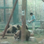 北京动物园　Beijing Zoo